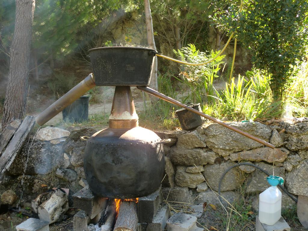 Quinta Do Circo - Serra Da Estrela - Turismo Rural Cortes do Meio Eksteriør billede