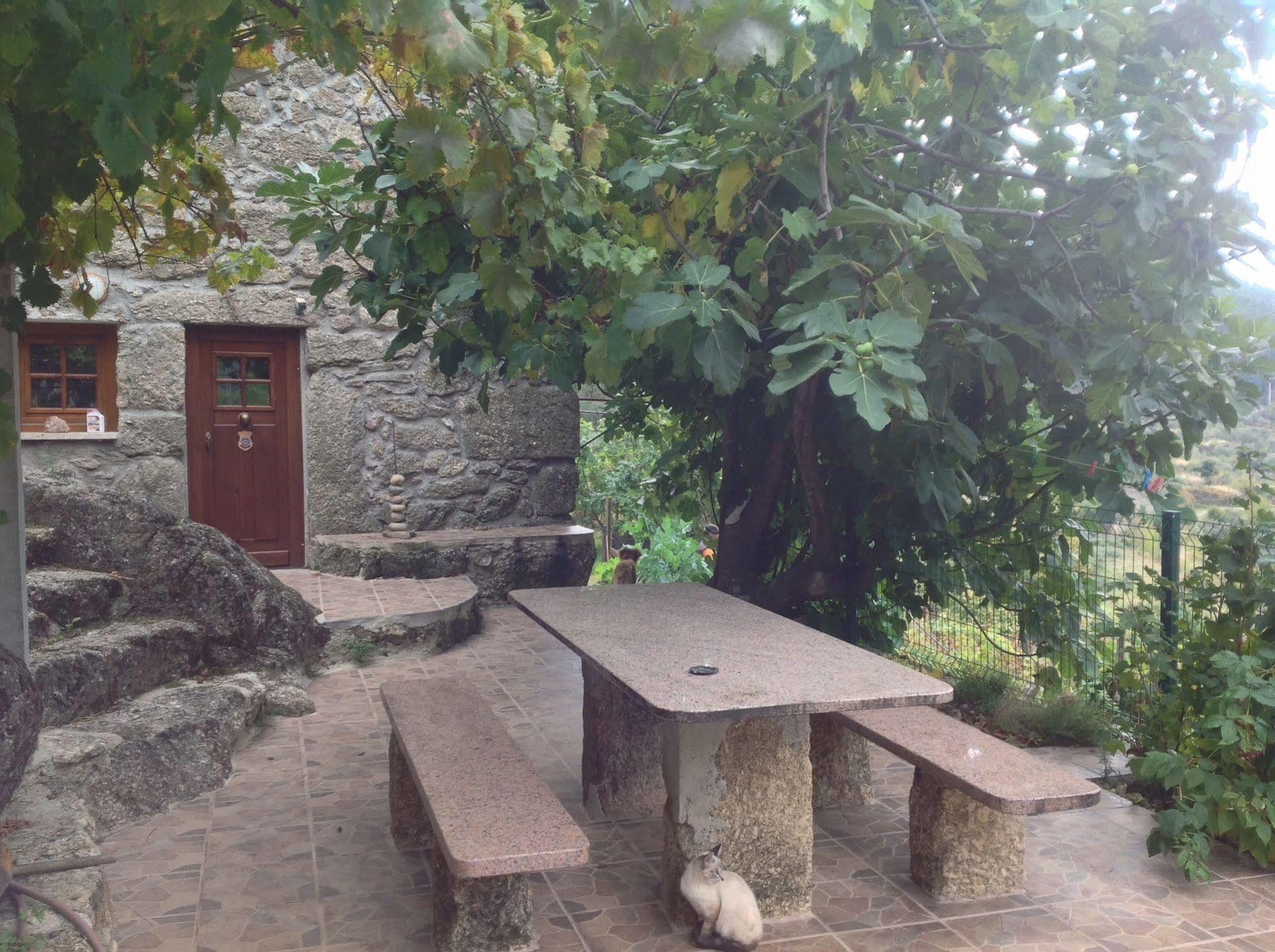 Quinta Do Circo - Serra Da Estrela - Turismo Rural Cortes do Meio Eksteriør billede